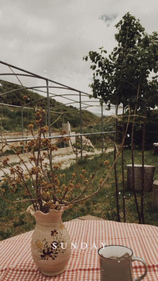 Bujtina Hader Xhebro Tepelene Exterior foto