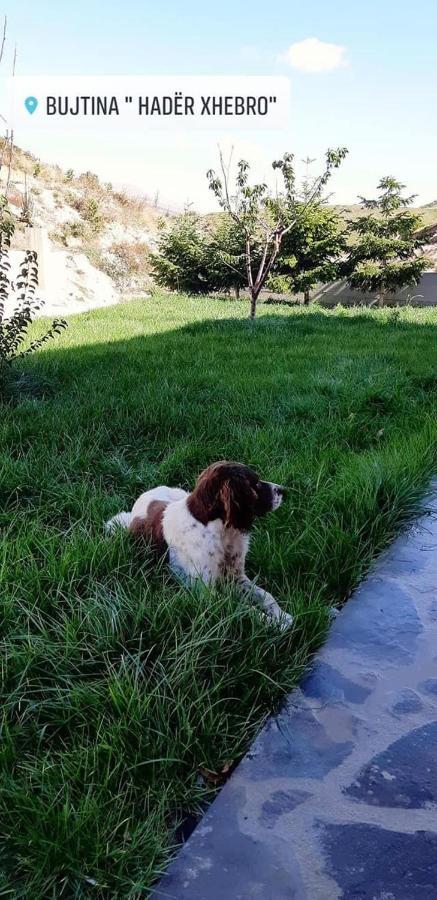 Bujtina Hader Xhebro Tepelene Exterior foto